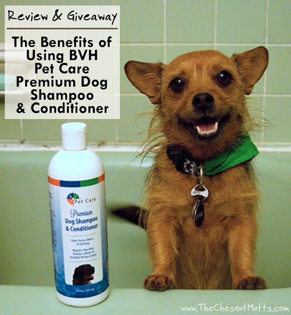 Review & Giveaway: The Benefits of Using BVH Pet Care Premium Dog Shampoo & Conditioner