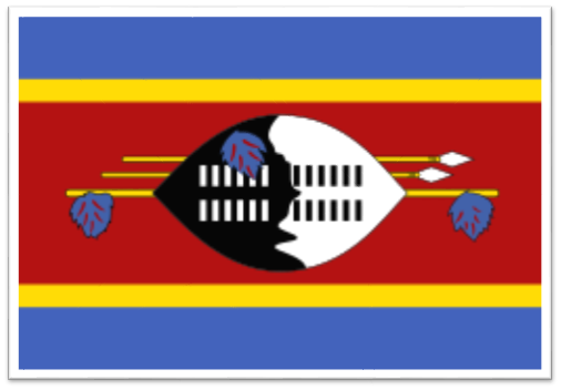 National Flag Of Eswatini - History