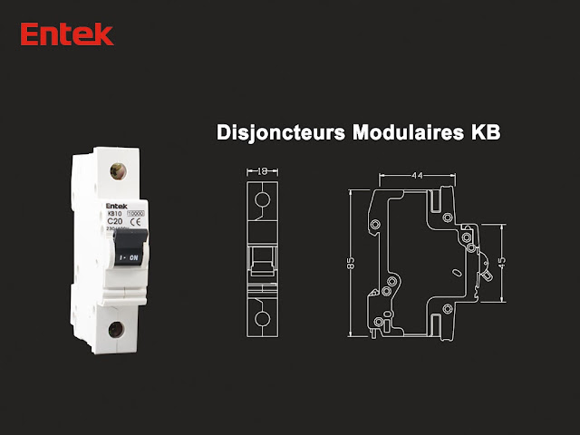 Miniature Circuit Breaker (MCB)