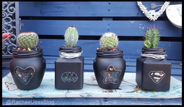 Finding little pots to plant Cactus in