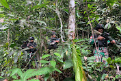  Patroli Patok Perbatasan, Bentuk Satgas Yonif 310/KK Peringati HUT TNI KE-78 Meski Medan Sulit