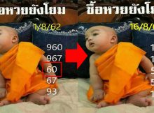 เลข ใบ เขียว 1 04 62