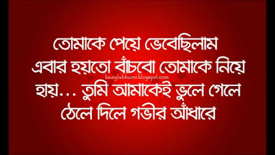 Bangla Sad Quotes