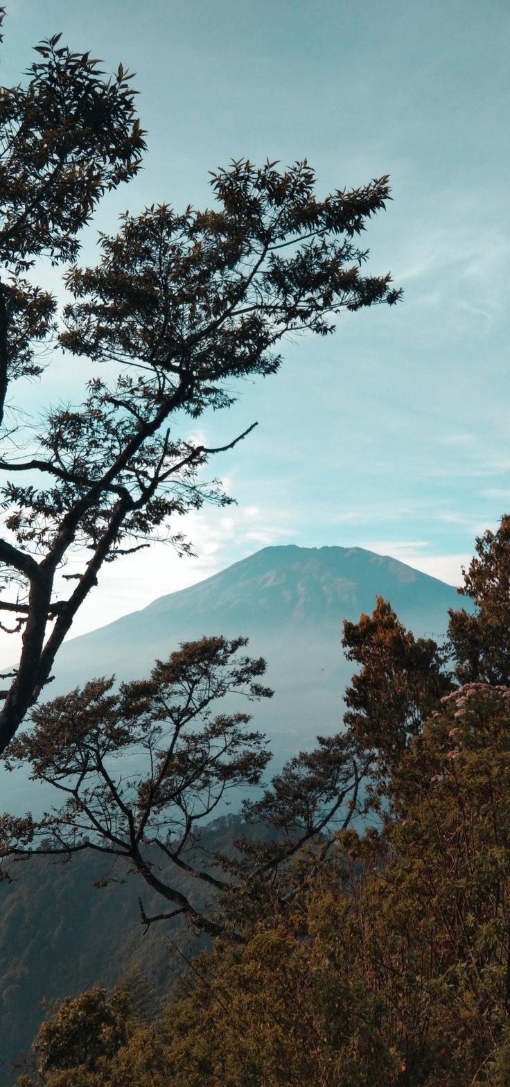 Wisata alam terbaik yang cocok untuk liburan bersama keluarga