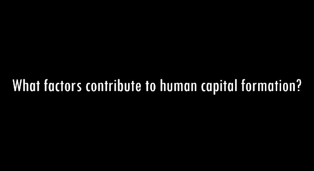 What factors contribute to human capital formation