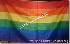 bm-image-722812 Prideflagga