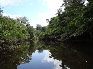 Refúgio de Vida Silvestre Metrópole da Amazônia