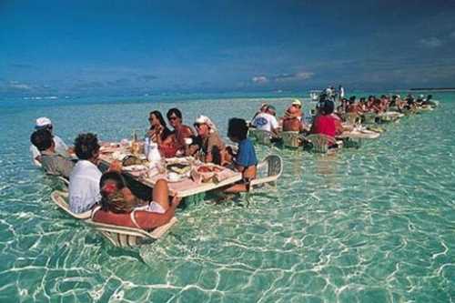 Sea Lunch