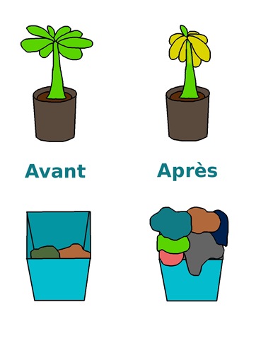 chérieseule3avantaprès