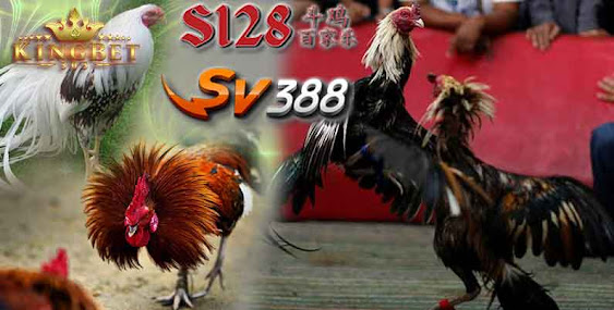 SABUNG AYAM ONLINE DAFTAR SV388 ONLINE 24 JAM DI INDONESIA AMAN DAN TERPERCAYA 