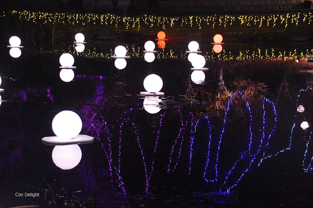 winter lights botanical garden Jerusalem