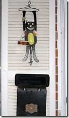 Black Cat Shutter