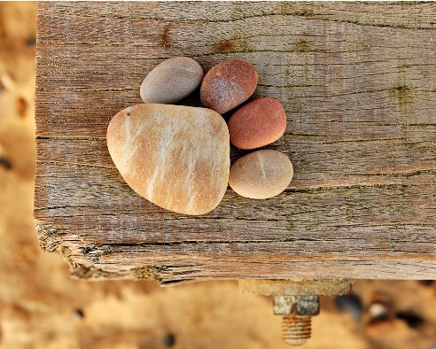 Stone Paw