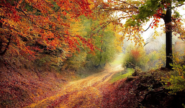 Nature Wallpapers