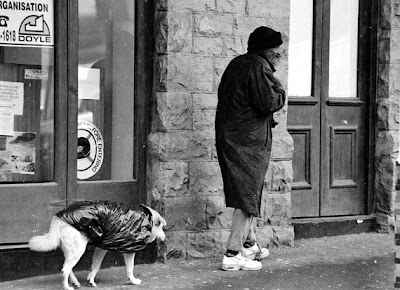 Το τι βρισίδι ακούγεται κάθε βράδι στα ελληνικά σπίτια, μόλις οι πολιτικοί μας αστέρες ξεμυτίσουν στην οθόνη…