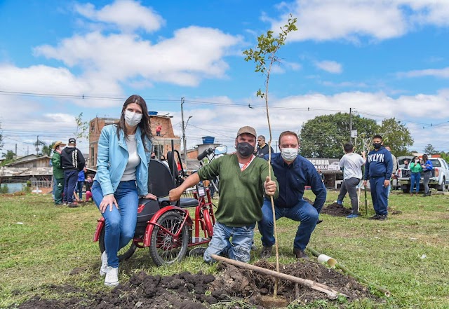 Prefeitura de Colombo planta 103 árvores em apenas um minuto e dezoito segundos