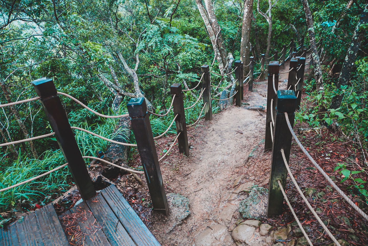 大坑登山步道