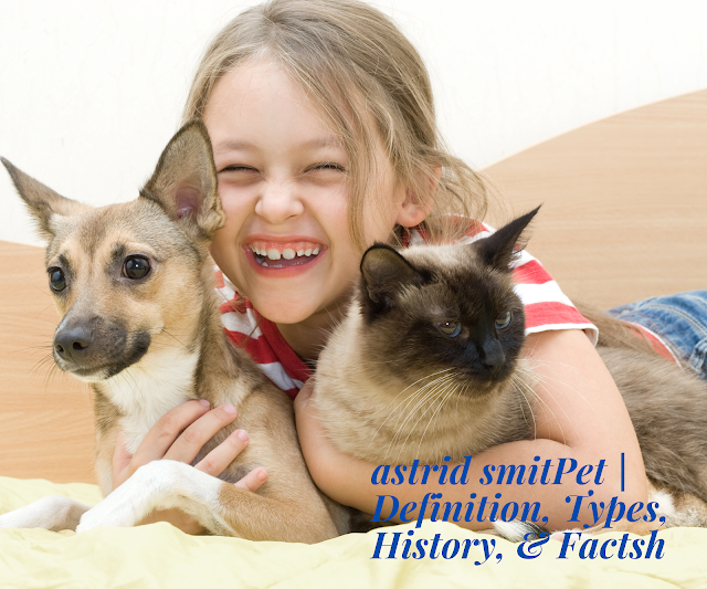 Pets: Definition, Types, History & Essential Facts