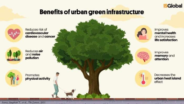 Los distintos beneficios que podría tener una ciudad al tener zonas verde