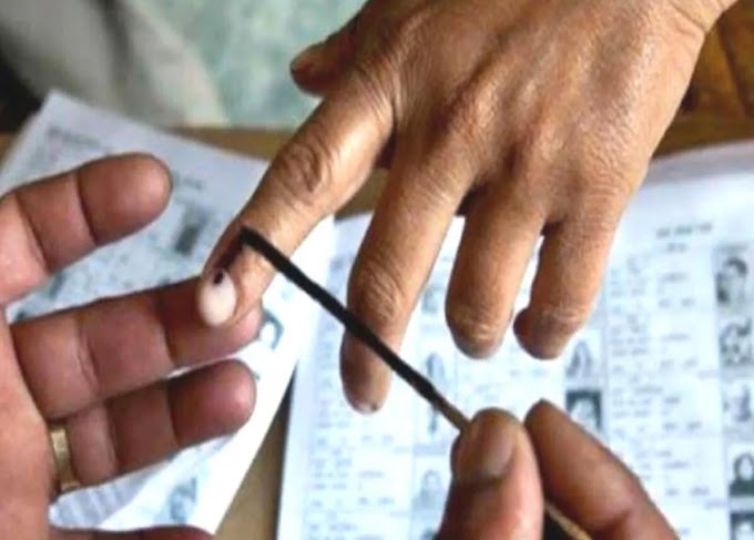 शिरुरमध्ये धक्कादायक प्रकार उघडकीस; मतदारांच्या नावाने बोगस व्यक्तीकडून मतदान