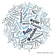 I made a quick word cloud of the online class notes and questions leading up .