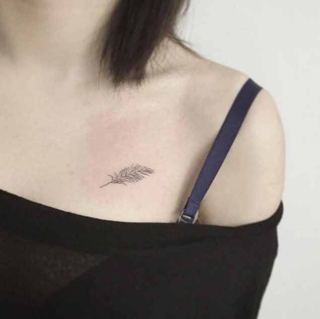 Este pequeno tat