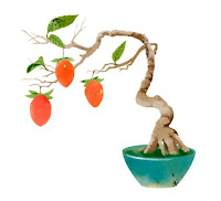 buah bonsai