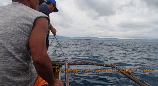 File:Bubo fish trap - Philippines 09.jpg - Wikipedia