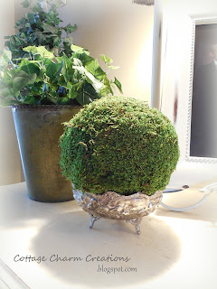 moss ball tutorial