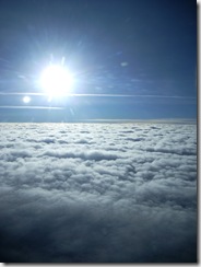 DSCN0329