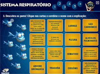 Software Educativo Sistema Respiratório