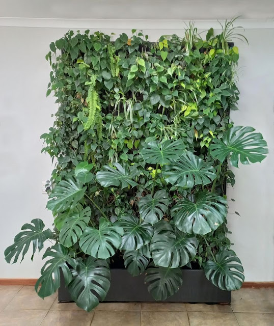 Modular Vertical Garden