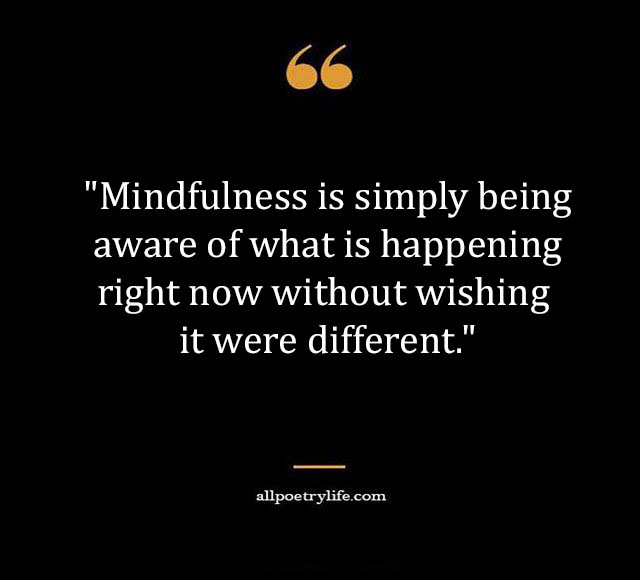 Top Best New Famous Mindfulness Quotes for Everyone