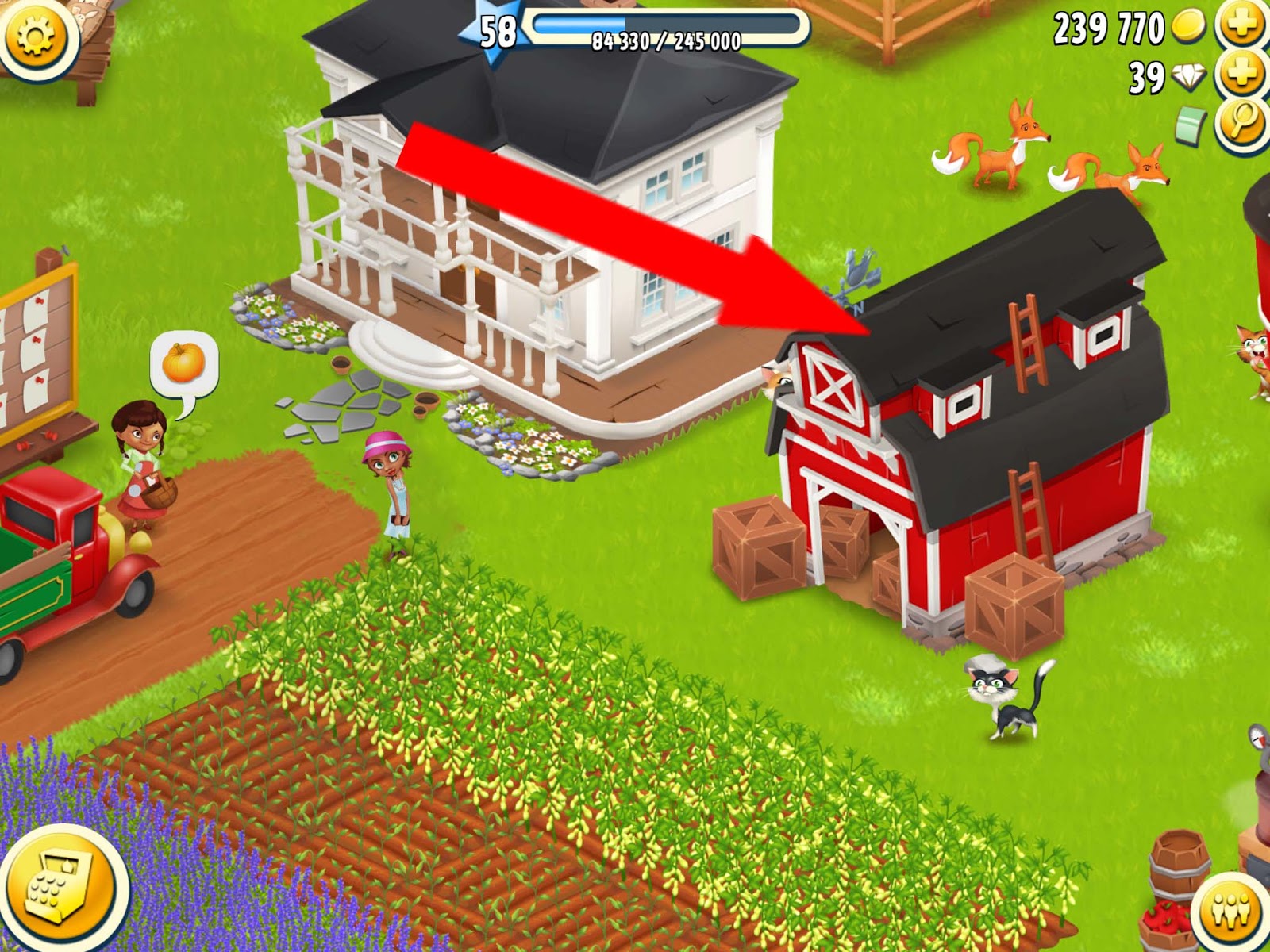 Hay Day Addiction: My Farm