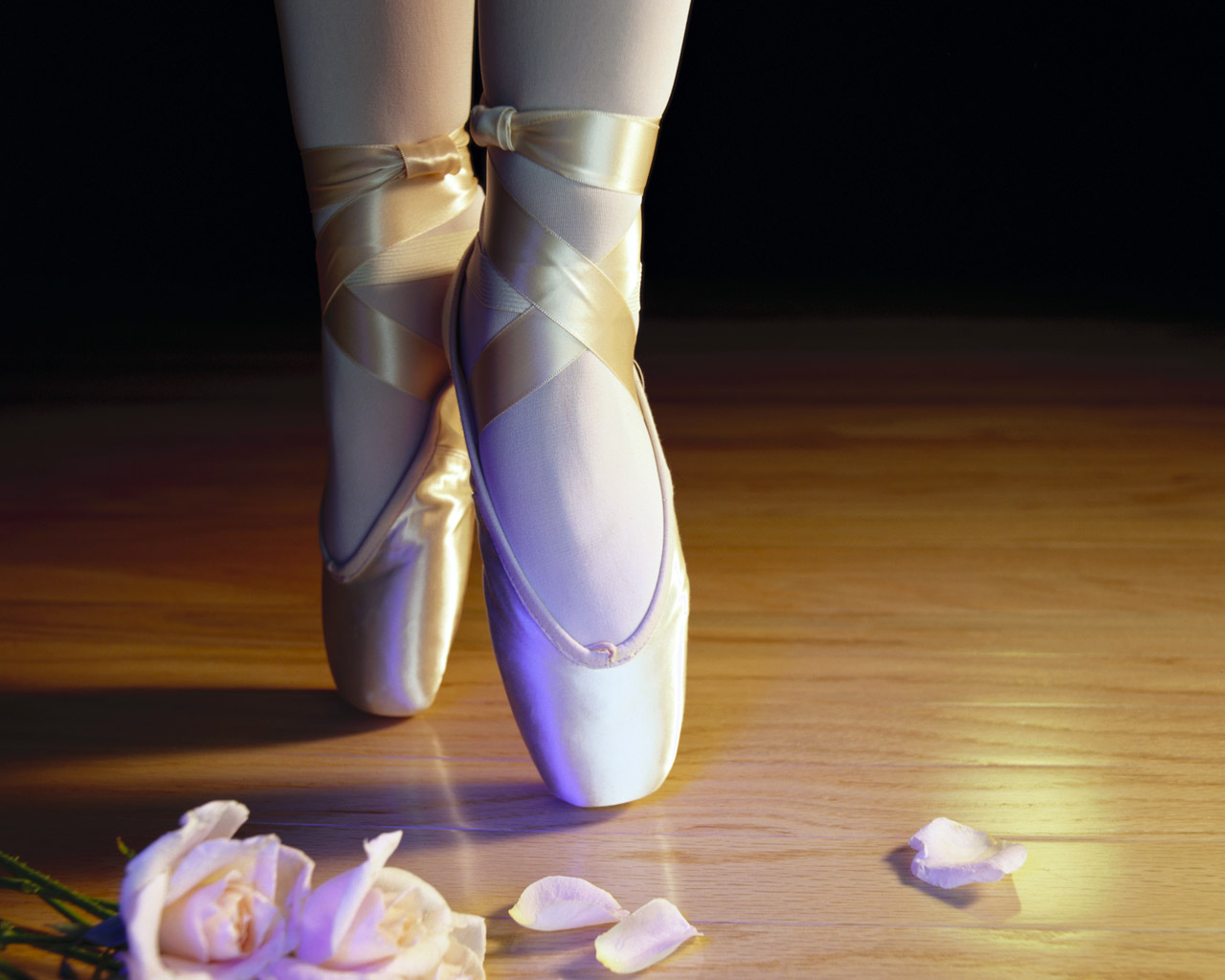 https://blogger.googleusercontent.com/img/b/R29vZ2xl/AVvXsEjJ2h7ArRRRlwTTTWQyyEkBEqZSeqRGZyvl1_oGwzIq9Km3h5LlybXyimMp1MCCSXHGsgBLAWtPNjHGCsgKIiHdVzJdCoBTNs00HIhJoPbtzcOHpyTCZDw6oyrEJL8CfeghFgwqvfSFOc0x/s1600/dancer_ballet_shoes-161.jpg