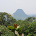 Wisata Alam Gunung Munara | Jawa Barat