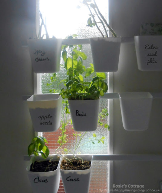 How a tiny Ikea trolley became an indoor greenhouse - The Vesken trolley joined the Sunnersta rails and containers to make an indoor greenhouse!