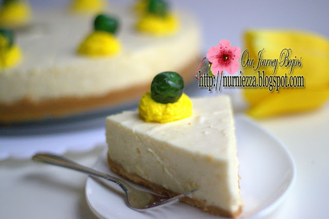 Our Journey Begins: Non - Bake Durian Cheese Cake