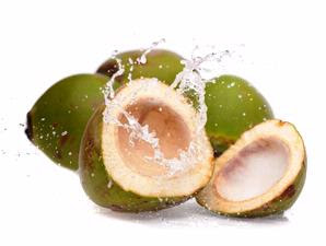 10 Macam Manfaat dan khasiat Air kelapa Hijau  e-Clopedia 