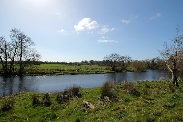 Liffey Kilcullen