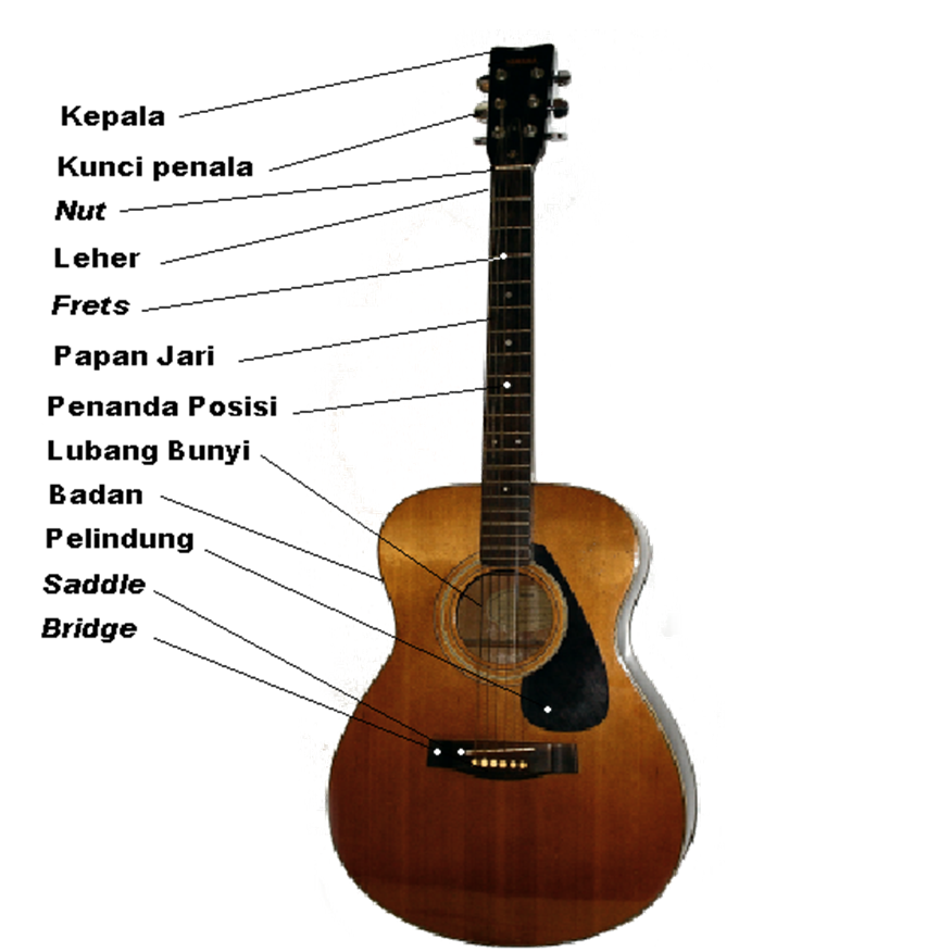 PANITIA MUZIK GITAR