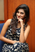Sita Narayan new glam pics-thumbnail-2