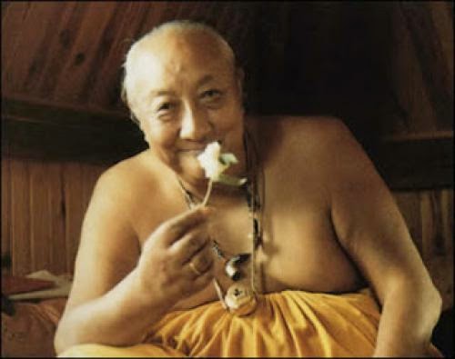 Spirit Of Tibet Journey To Enlightenment The Life And World Of Dilgo Khyentse Rinpoche