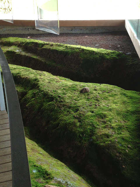 Photos by E.V.Pita / Megalithic tomb Dolmen of Dombate (Galicia, Spain)