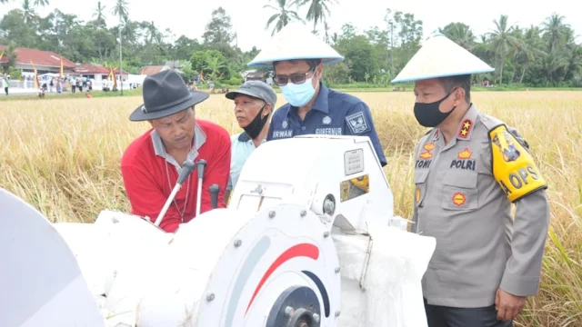 Gubernur dan Kapolda Sumbar Panen Raya Padi di Nagari Minangkabau.