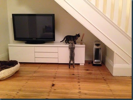 photo (16)