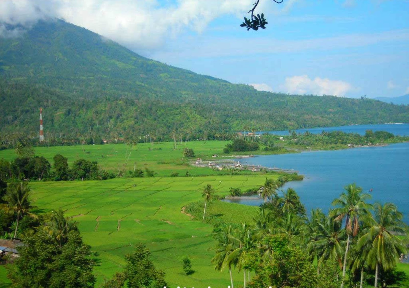 64 Gambar  Pemandangan  Indah  Kampung 