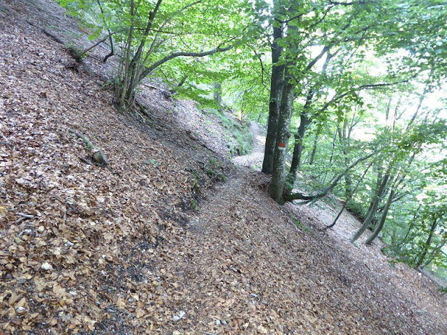 sentiero sotto monte teggia che porta rifugio amandoli