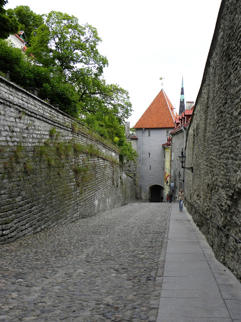 Tallinn General