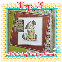 http://lilpatchofcraftyfriends.blogspot.com/2018/12/lil-patch-c95-winner-top-3.html